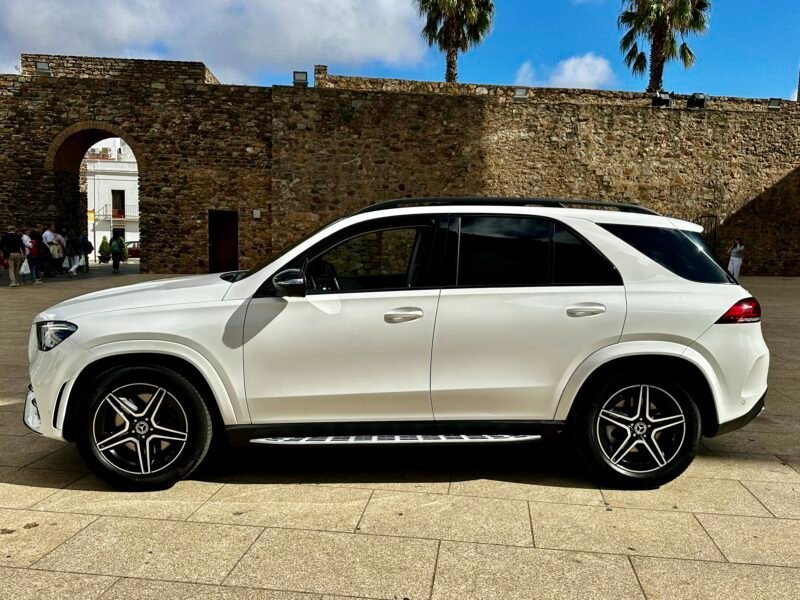 MERCEDES-BENZ Clase GLE 300 d 4Matic 2.0 AMG Line 245CV Techo