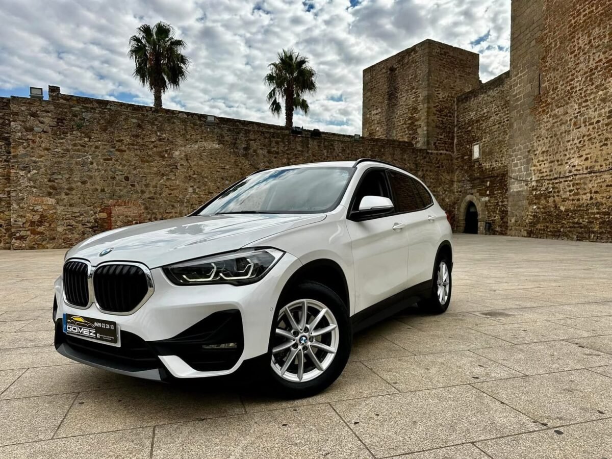BMW X1 sDrive18dAuto 150 CV 