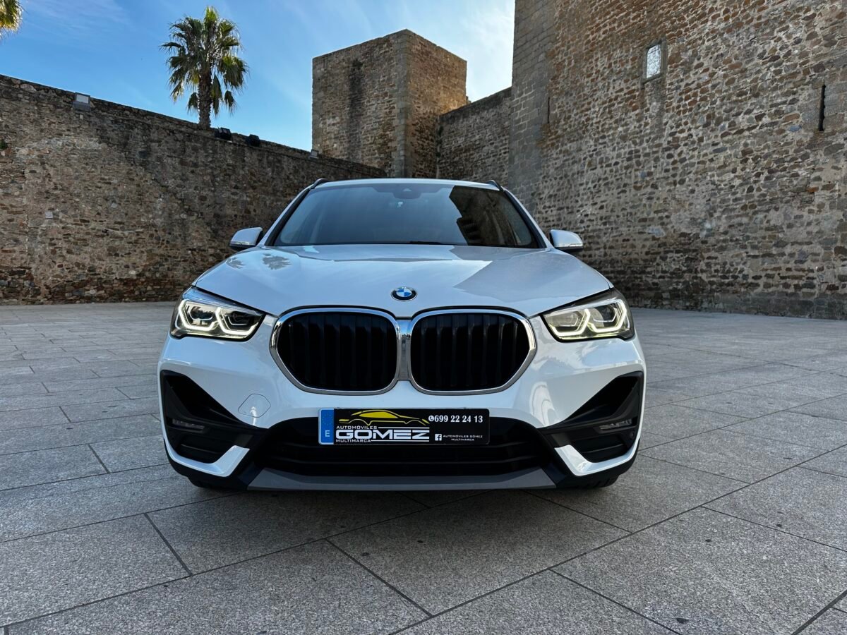 BMW X1 sDrive16d Business 1.5 115CV