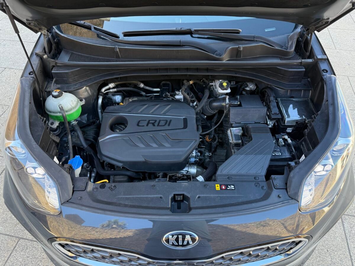 KIA Sportage  1.6 MHEV Drive Plus (136CV)