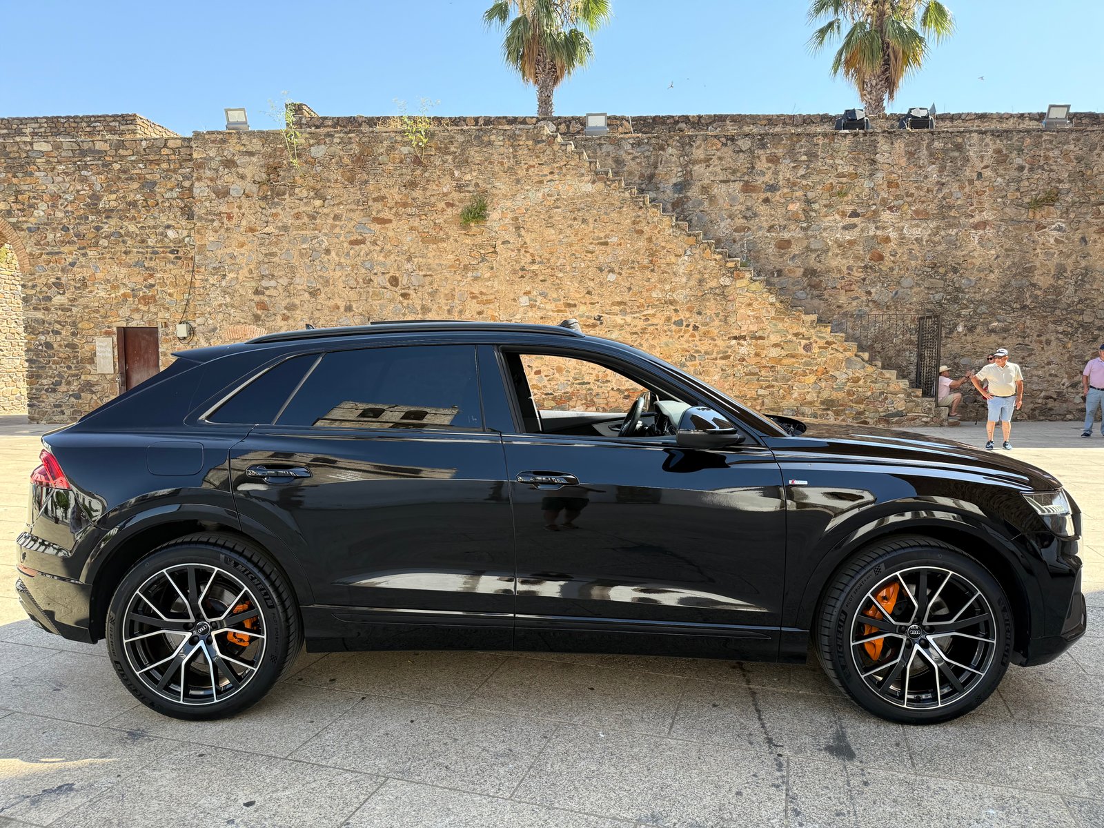 AUDI Q8 50 TDI BLACK LINE QUATTRO TECHO 