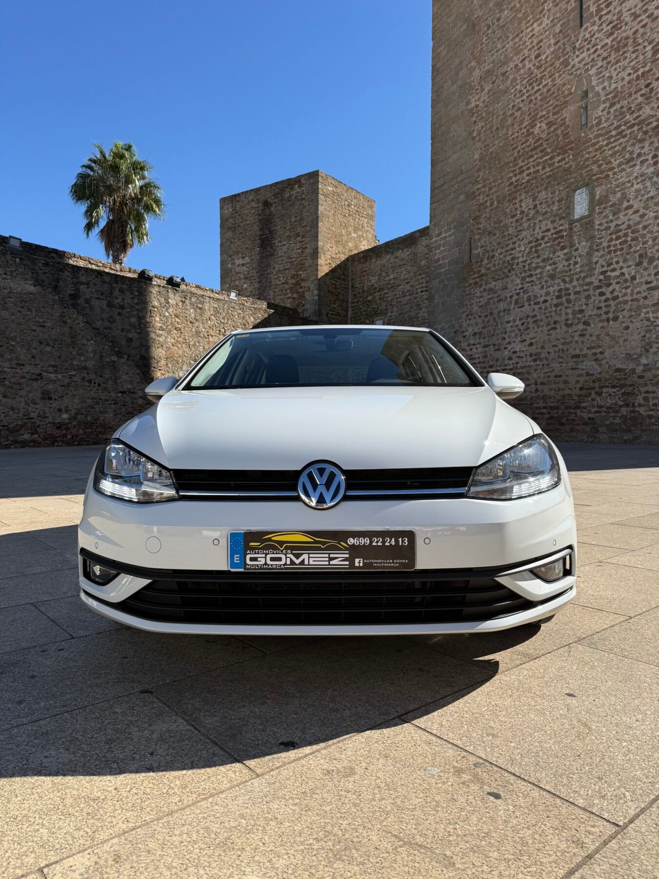 VOLKSWAGEN Golf Last Edition 1.6 TDI  (115CV)