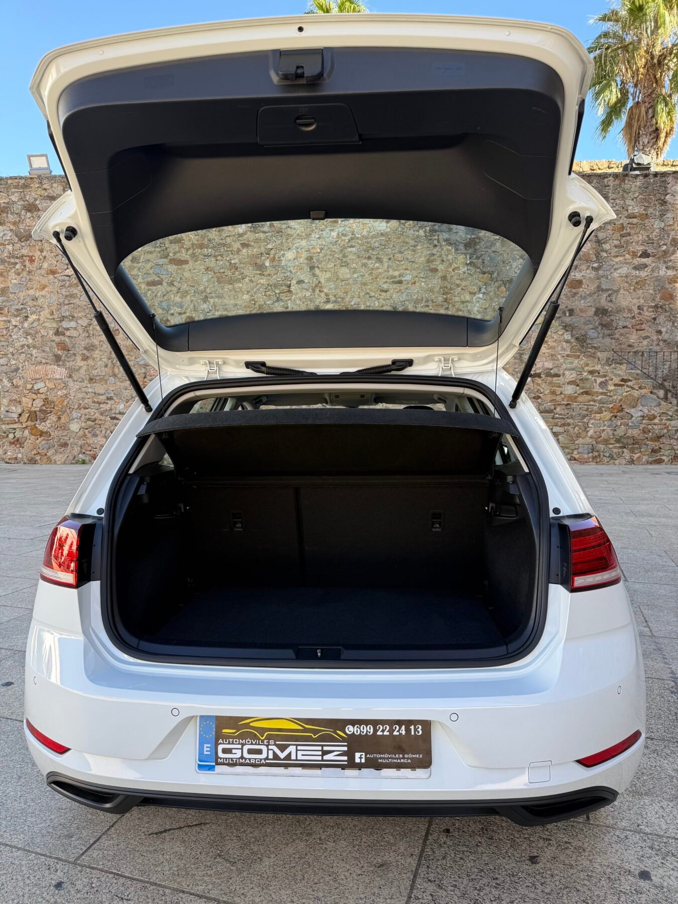 VOLKSWAGEN Golf Last Edition 1.6 TDI  (115CV)